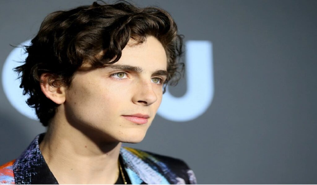 Who Is Timothée Chalamet? Net Worth 2023, Biography, Wife, Career Etc